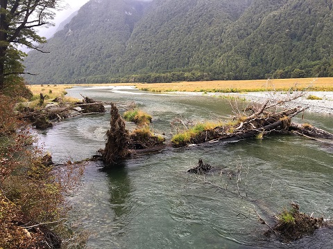 eglinton-river-down-stream