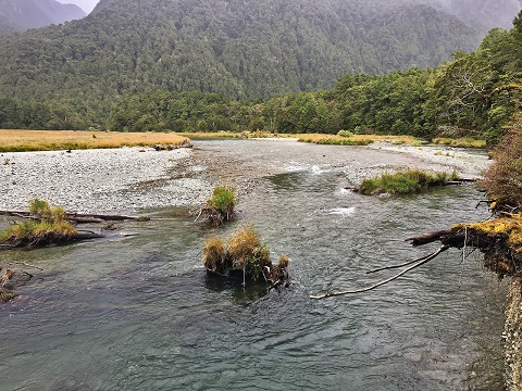 eglinton-river-up-stream