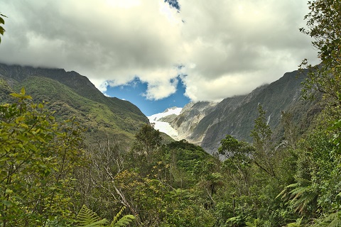 franz-josef-glacier