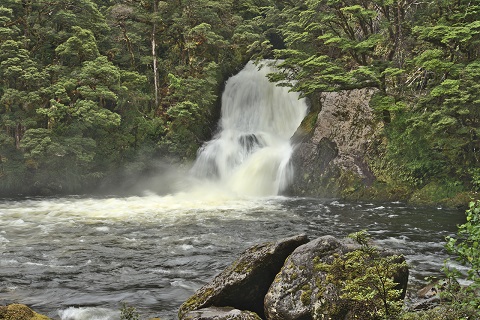 kepler-track-iris-burn-falls