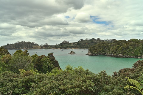 moturau-moana-native-gardens