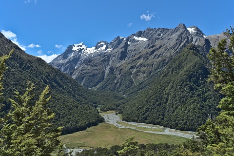 routeburn-track